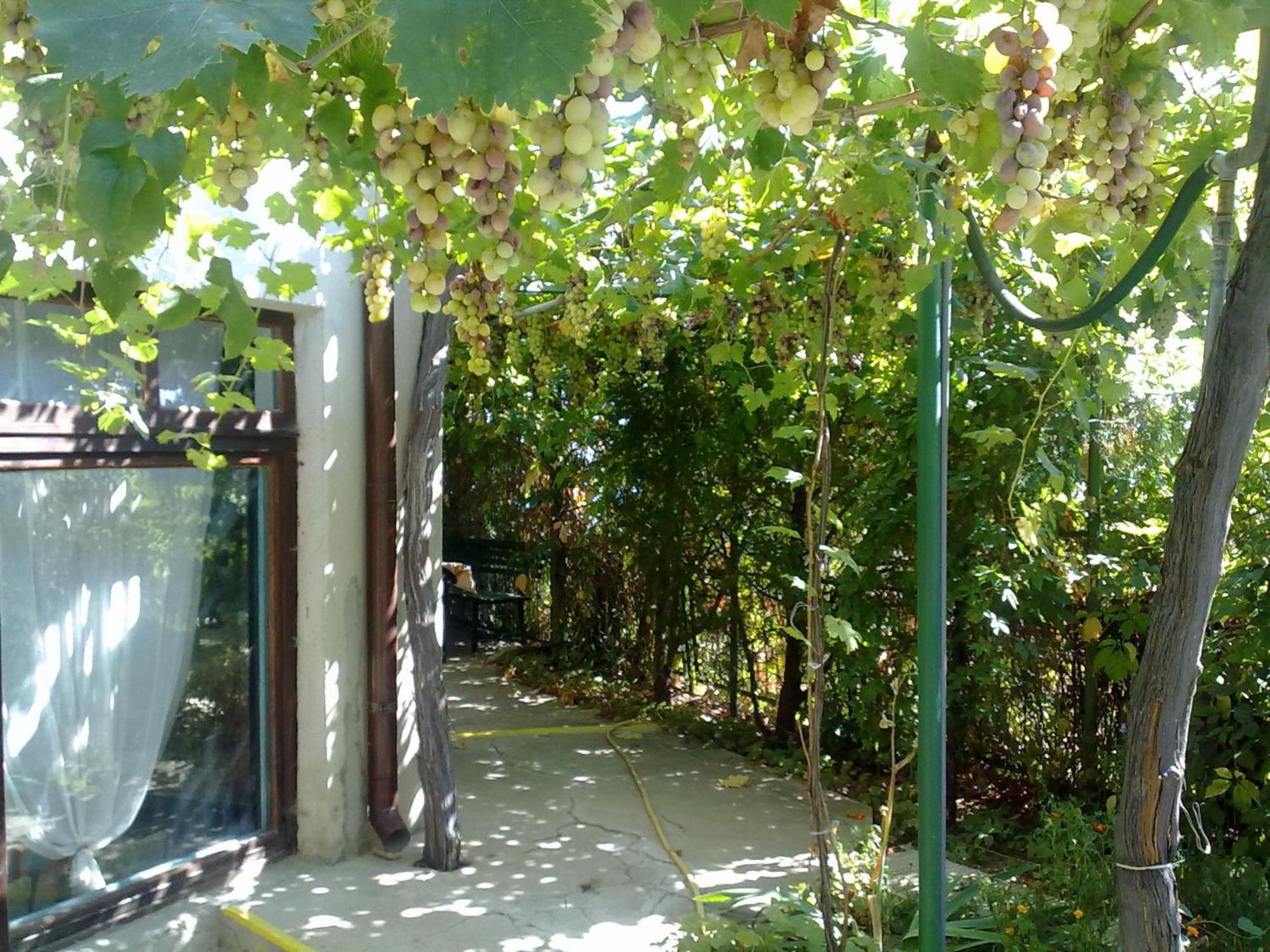 Villa Elfi Golden Sands Eksteriør billede