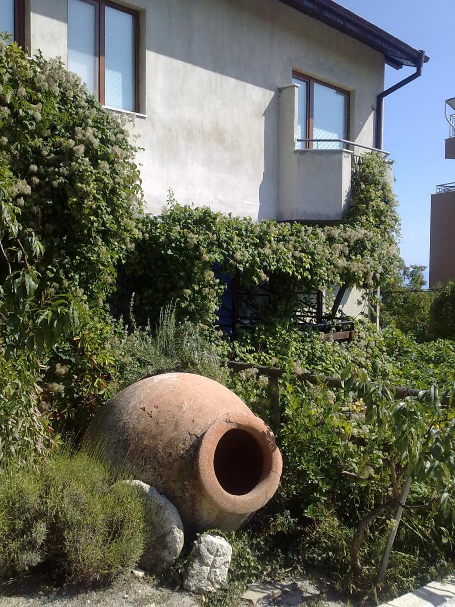 Villa Elfi Golden Sands Eksteriør billede
